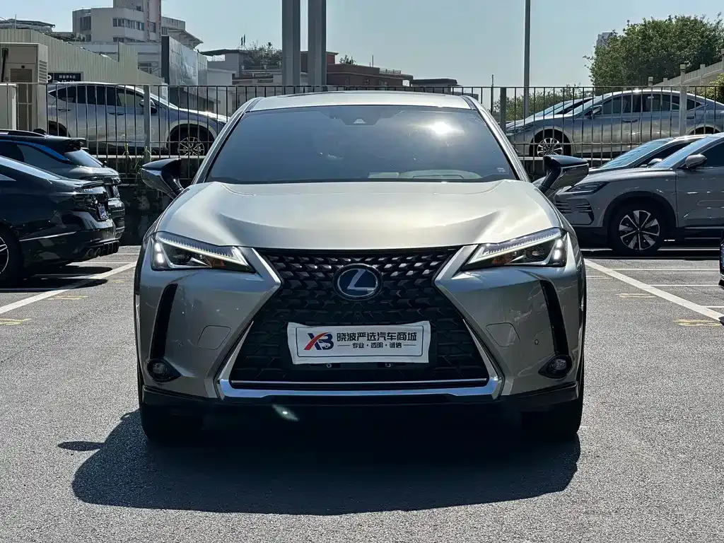 Lexus UX New Energy 2022 из CN, фото 5