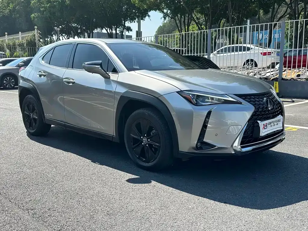 Lexus UX New Energy 2022 из CN, фото 6