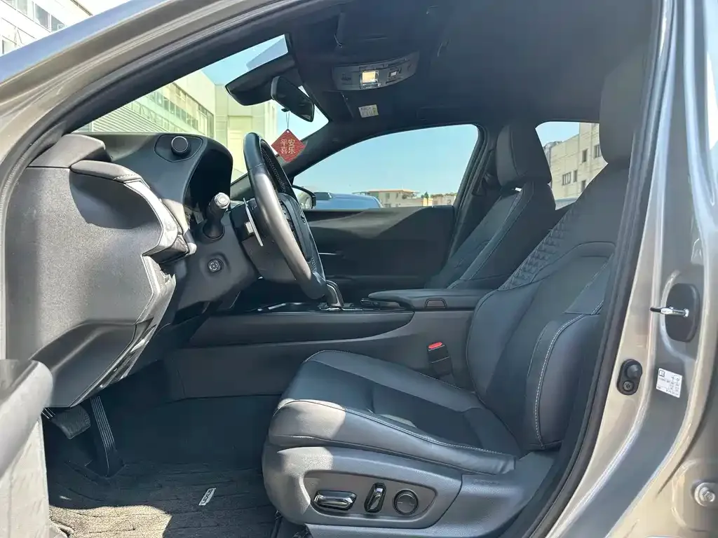 Lexus UX New Energy 2022 из CN, фото 7