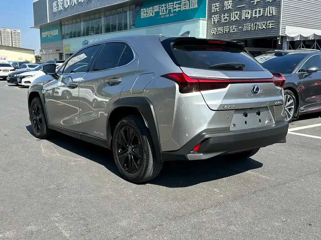 Lexus UX New Energy 2022 из CN, фото 8