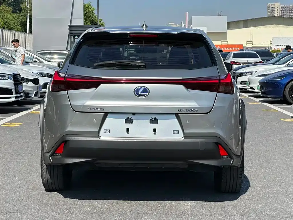 Lexus UX New Energy 2022 из CN, фото 9