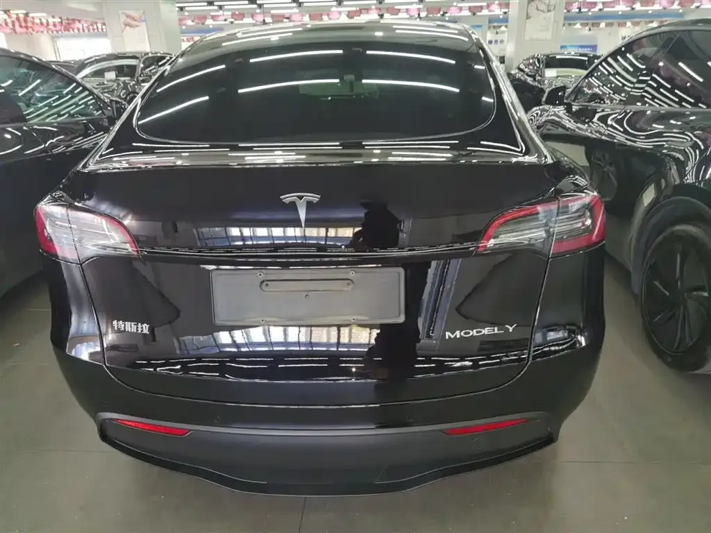 Tesla Model Y 2022 из CN, фото 6