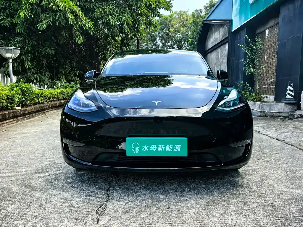Tesla Model Y 2021 из CN, фото 1