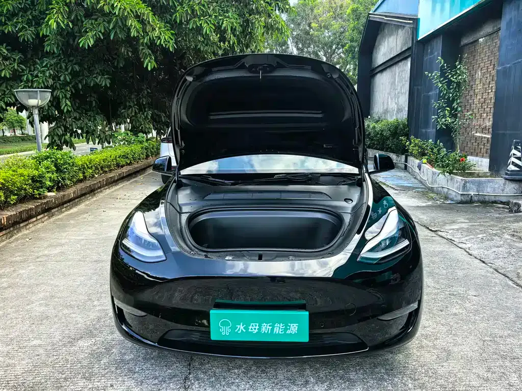 Tesla Model Y 2021 из CN, фото 10