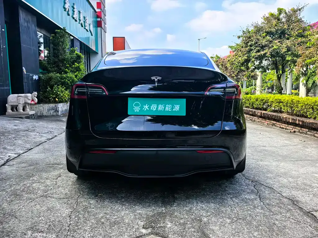 Tesla Model Y 2021 из CN, фото 2