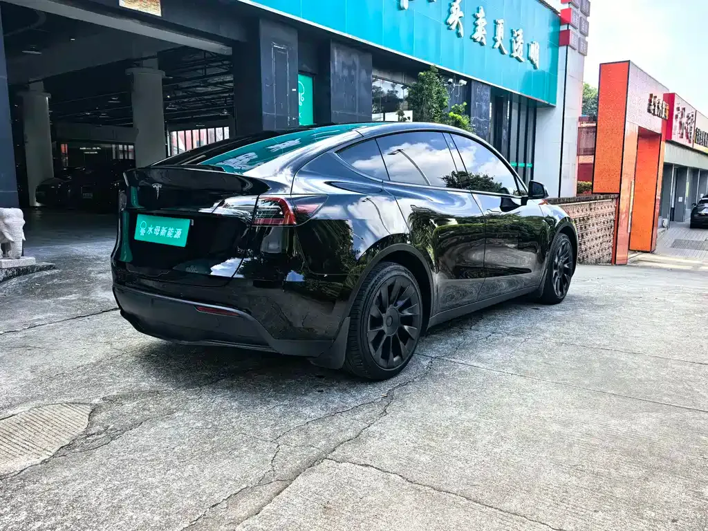 Tesla Model Y 2021 из CN, фото 3