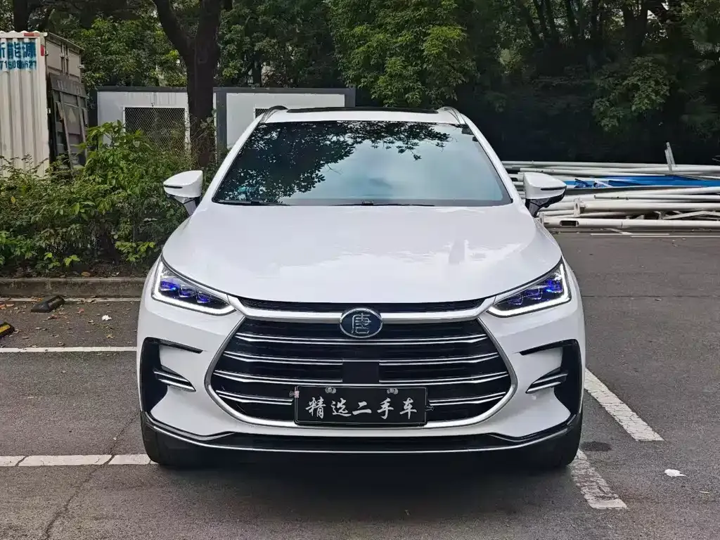 BYD Tang New Energy 2024 из CN, фото 2