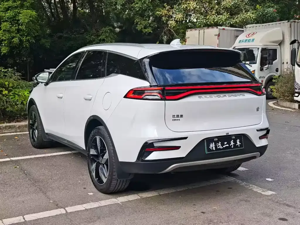 BYD Tang New Energy 2024 из CN, фото 7