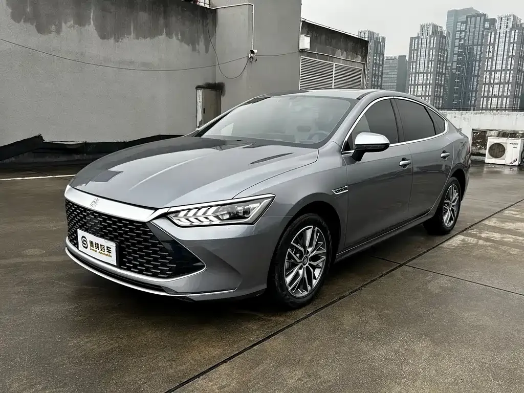 BYD Qin PLUS 2024 из CN, фото 1