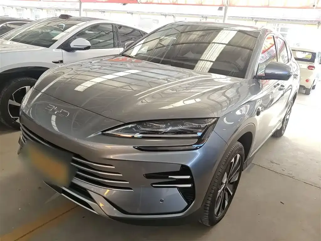 BYD PLUS New Energy — фото 1