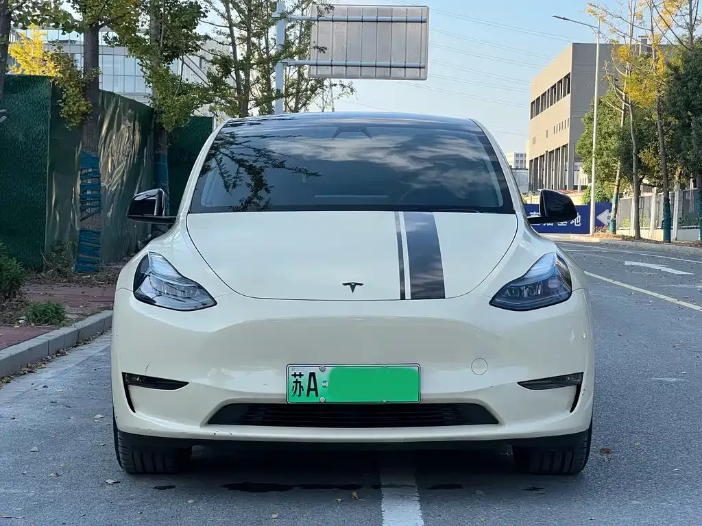 Tesla Model Y 2021 из CN, фото 1