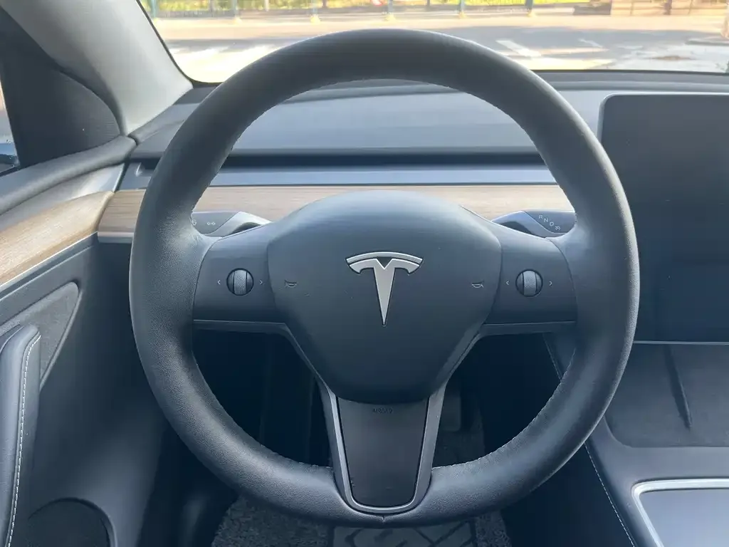 Tesla Model Y 2021 из CN, фото 10