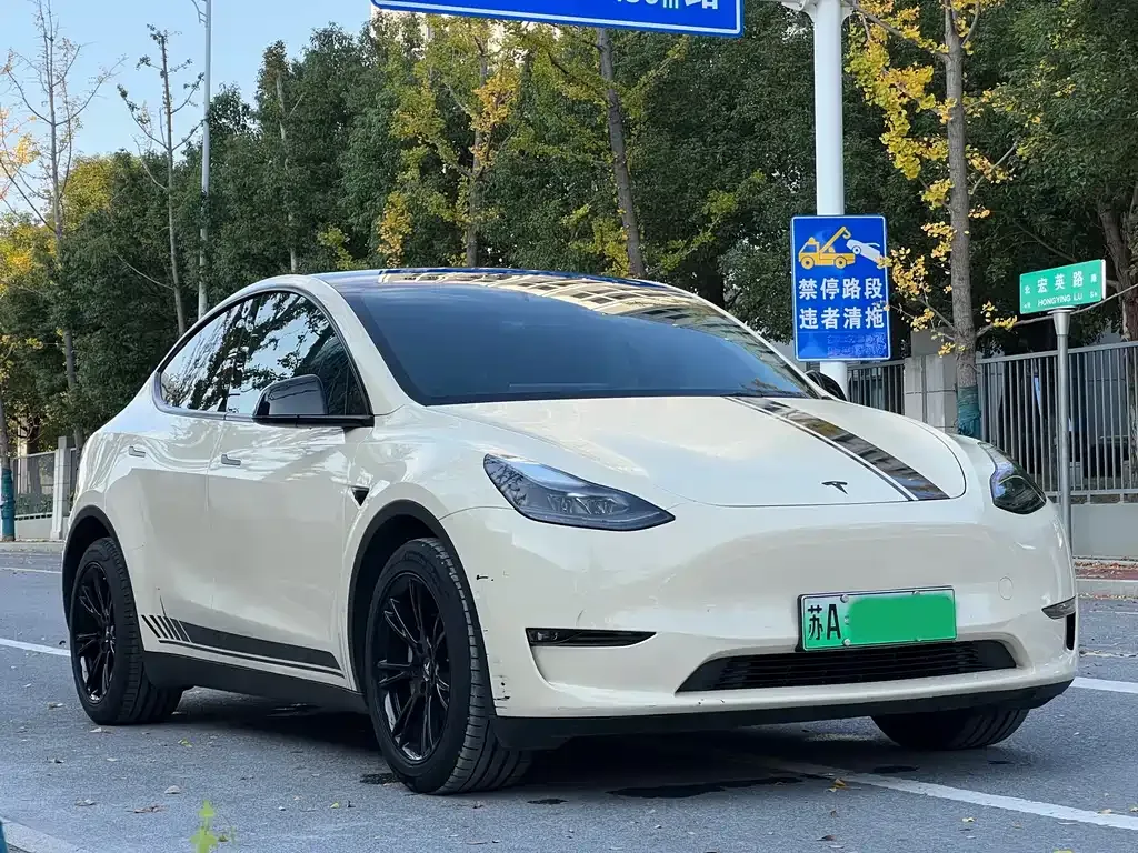 Tesla Model Y 2021 из CN, фото 2
