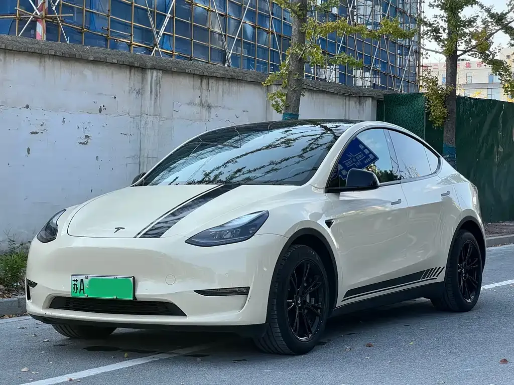 Tesla Model Y 2021 из CN, фото 3