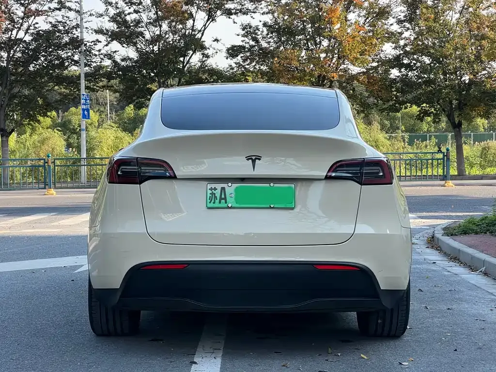 Tesla Model Y 2021 из CN, фото 4