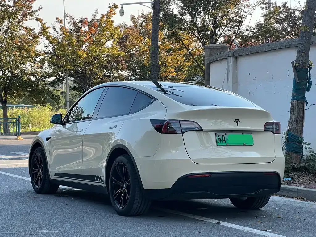 Tesla Model Y 2021 из CN, фото 5