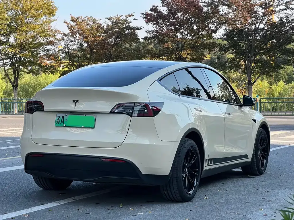 Tesla Model Y 2021 из CN, фото 6