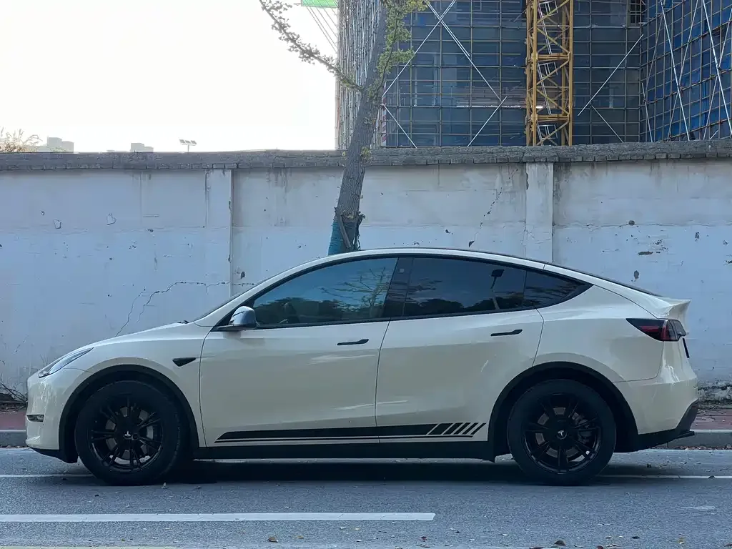 Tesla Model Y 2021 из CN, фото 7