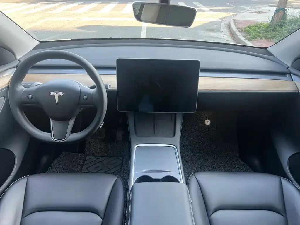 Tesla Model Y 2021 из CN, фото 8