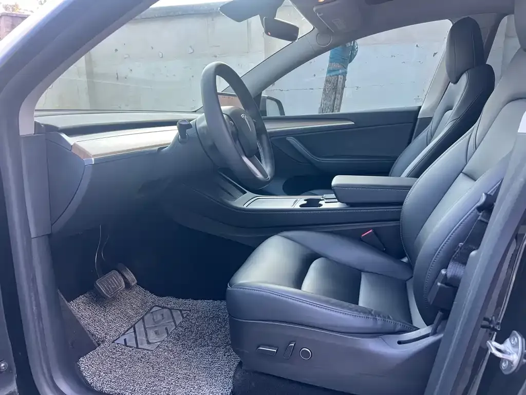 Tesla Model Y 2021 из CN, фото 9