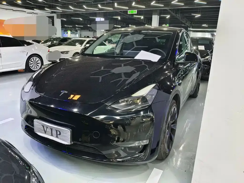 Tesla Model Y 2021 из CN, фото 1