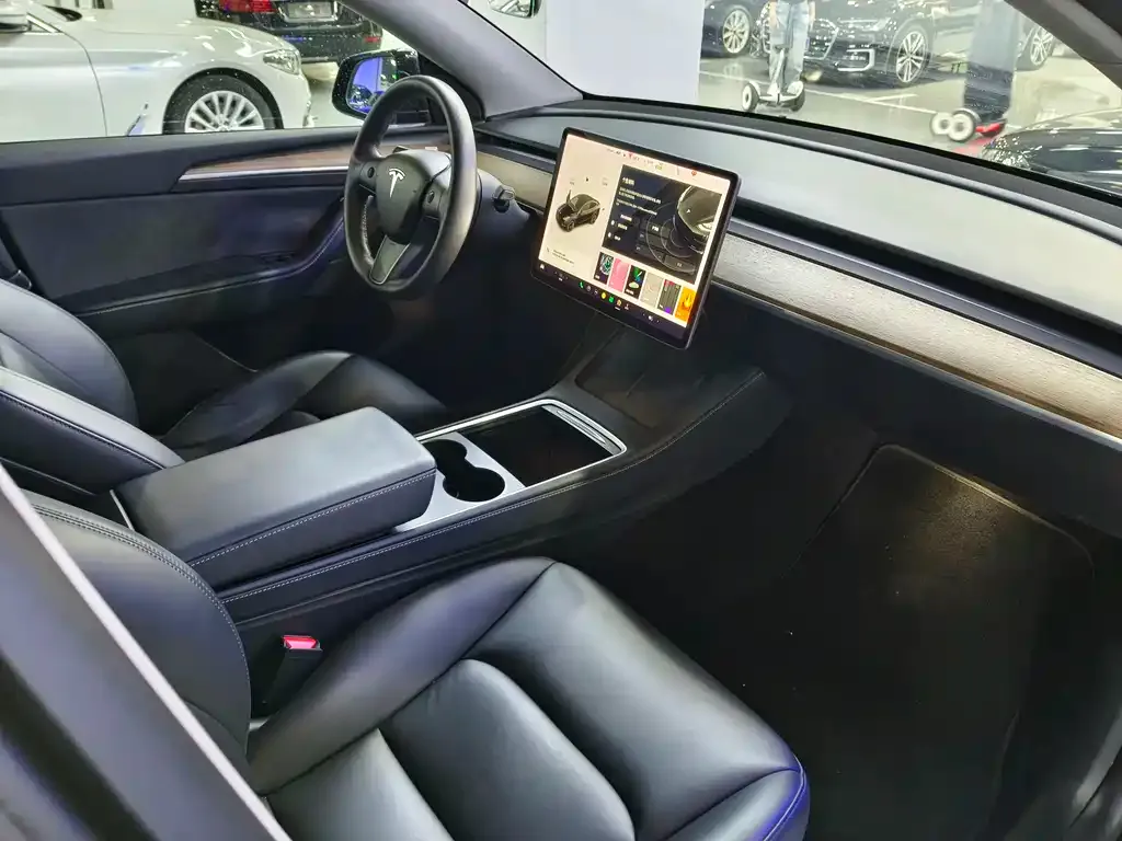 Tesla Model Y 2021 из CN, фото 10