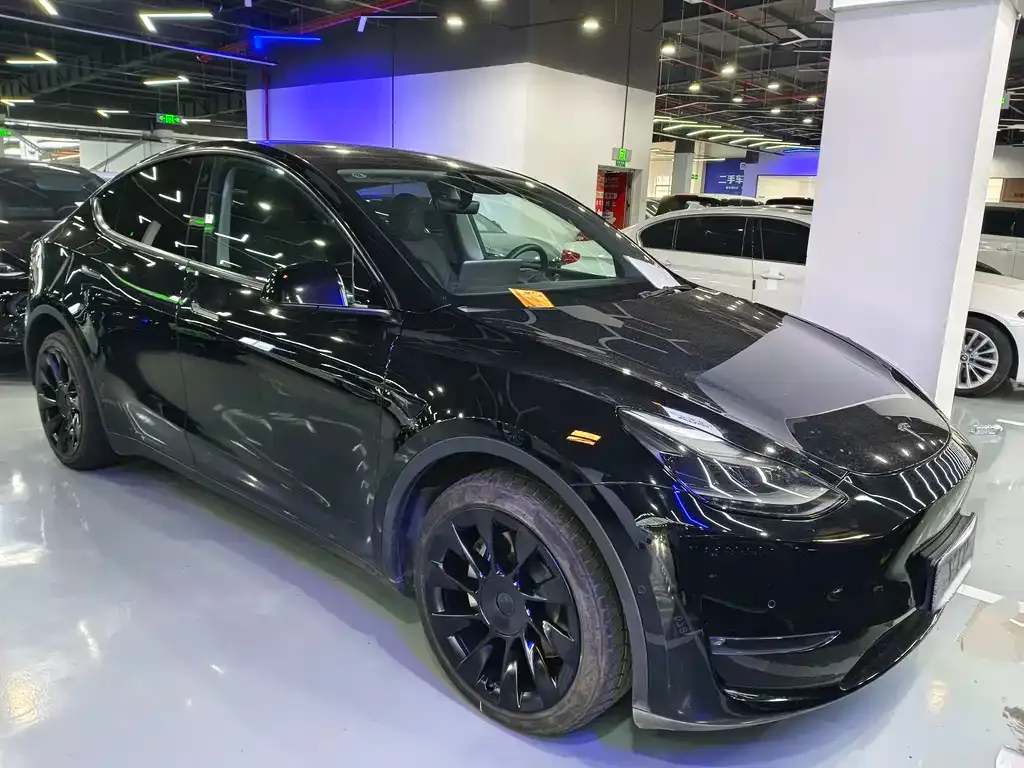 Tesla Model Y 2021 из CN, фото 2
