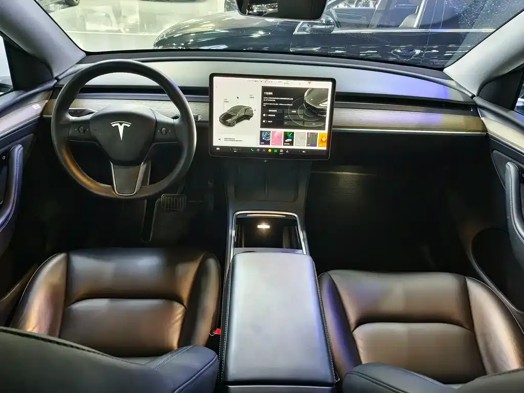 Tesla Model Y 2021 из CN, фото 7