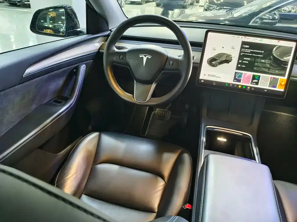 Tesla Model Y 2021 из CN, фото 8