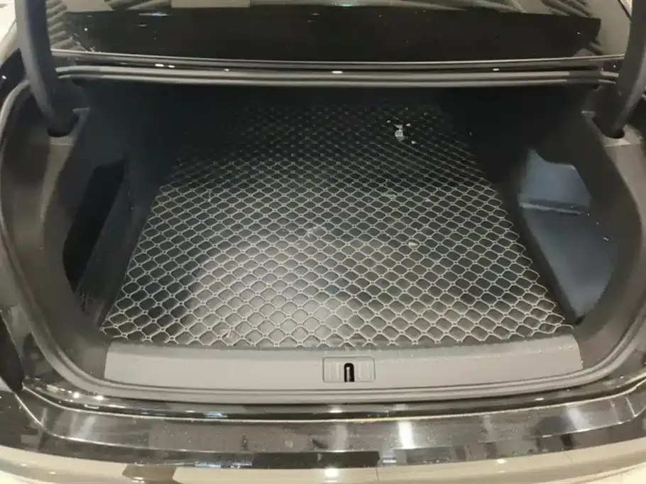 Volkswagen Phideon 2023 из CN, фото 4