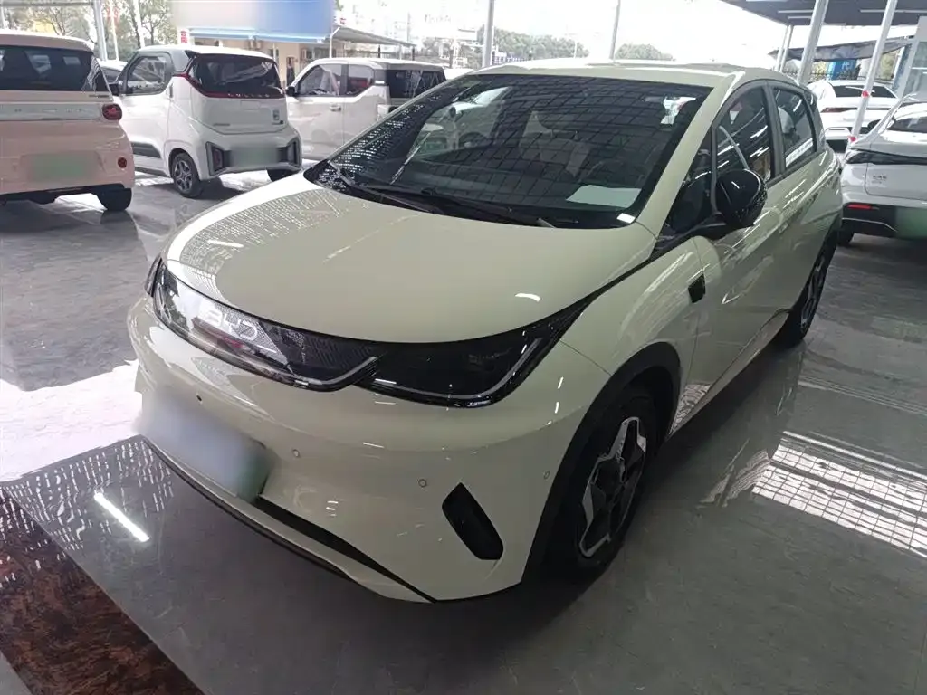 BYD Dolphin 2025 из CN, фото 2