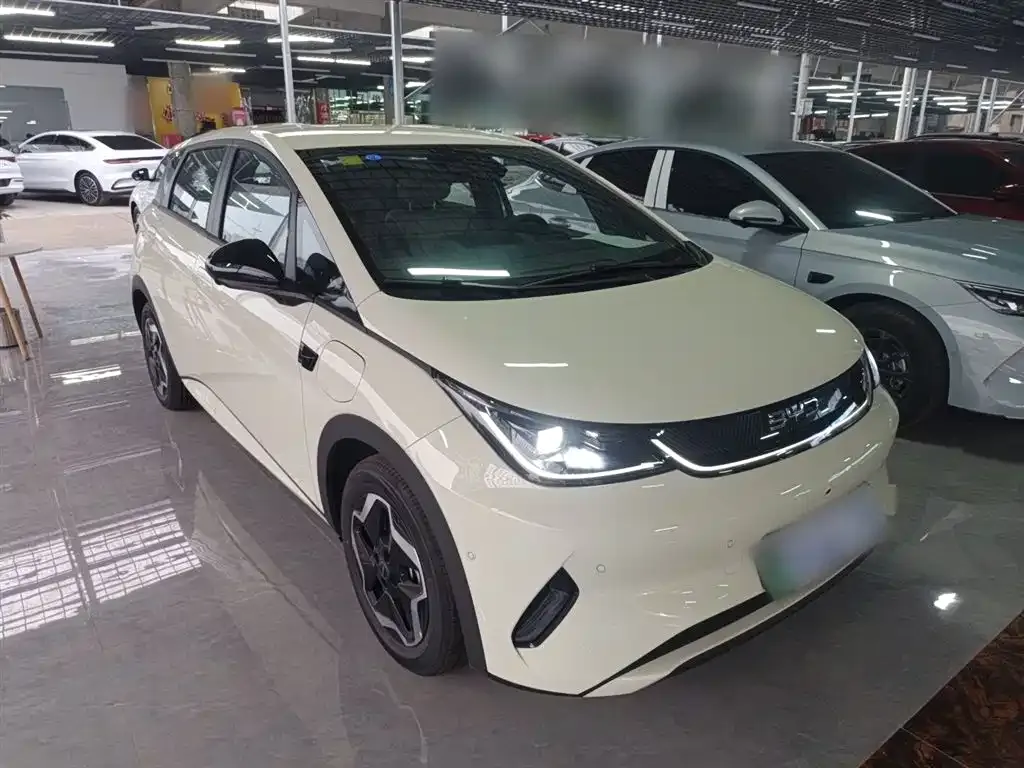 BYD Dolphin 2025 из CN, фото 4