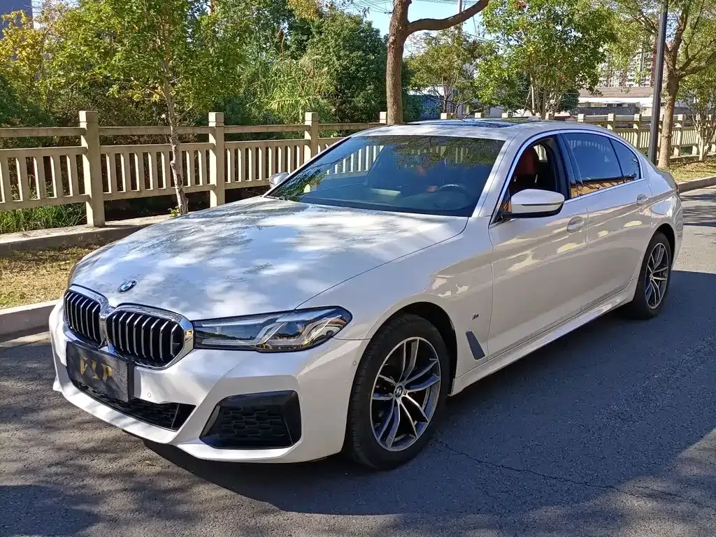 BMW 5 Series 2021 из CN, фото 1