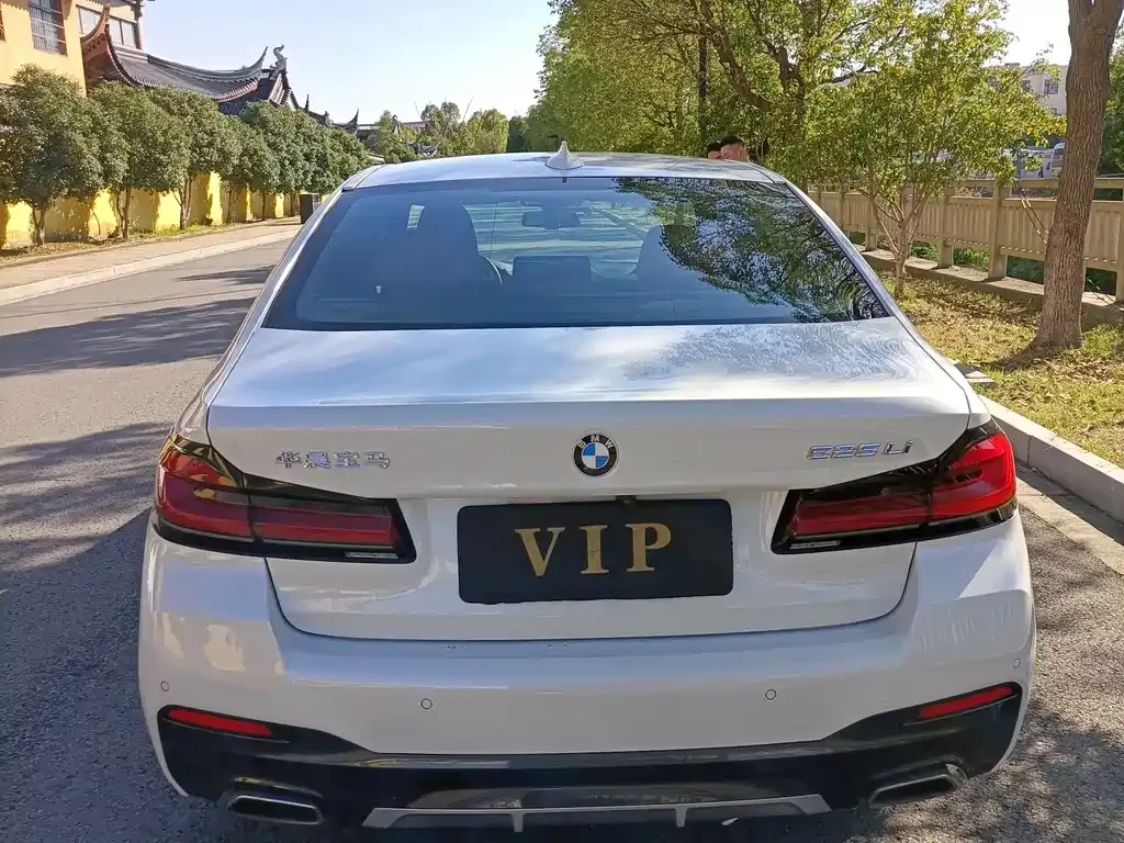 BMW 5 Series 2021 из CN, фото 10