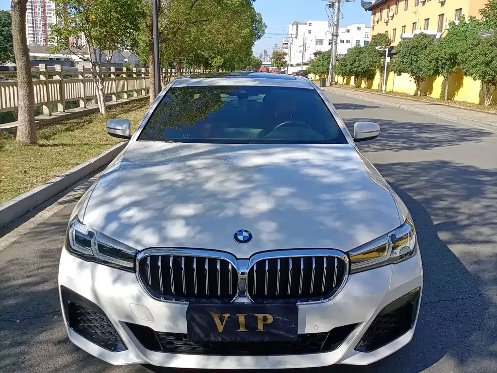 BMW 5 Series 2021 из CN, фото 2