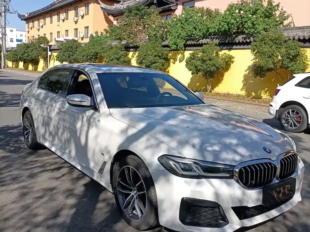BMW 5 Series 2021 из CN, фото 3