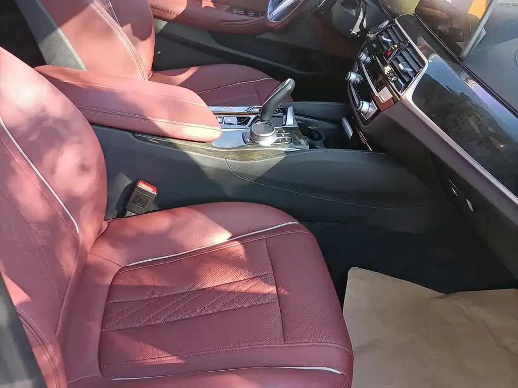 BMW 5 Series 2021 из CN, фото 4