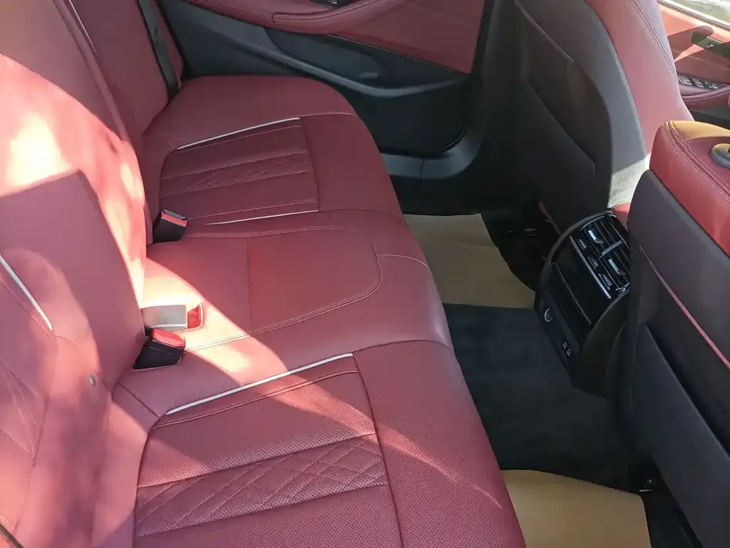 BMW 5 Series 2021 из CN, фото 5