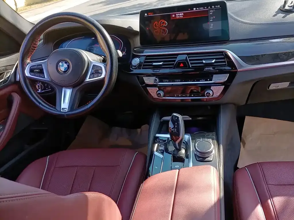 BMW 5 Series 2021 из CN, фото 6