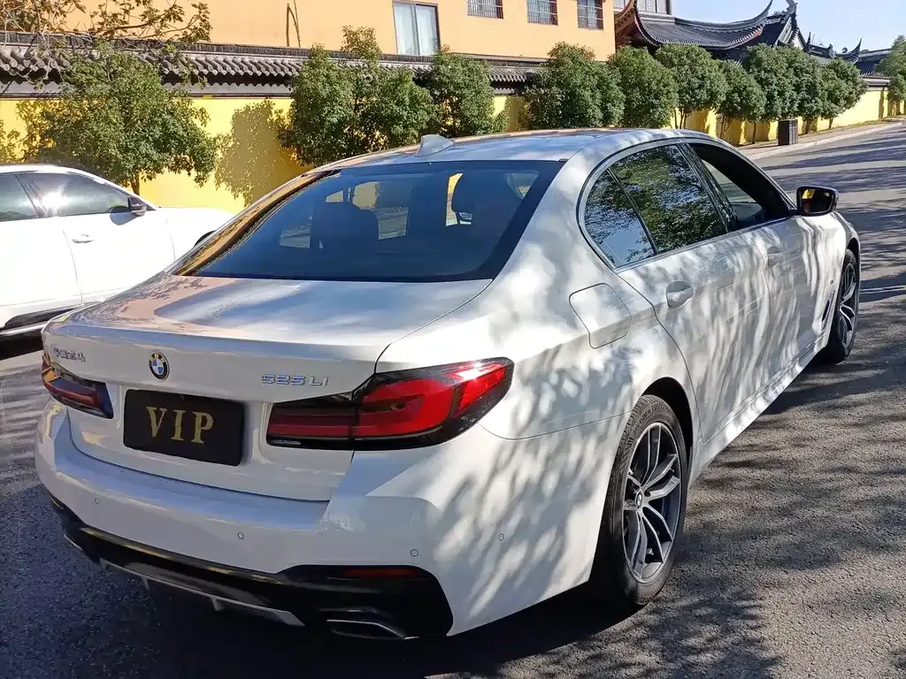 BMW 5 Series 2021 из CN, фото 7