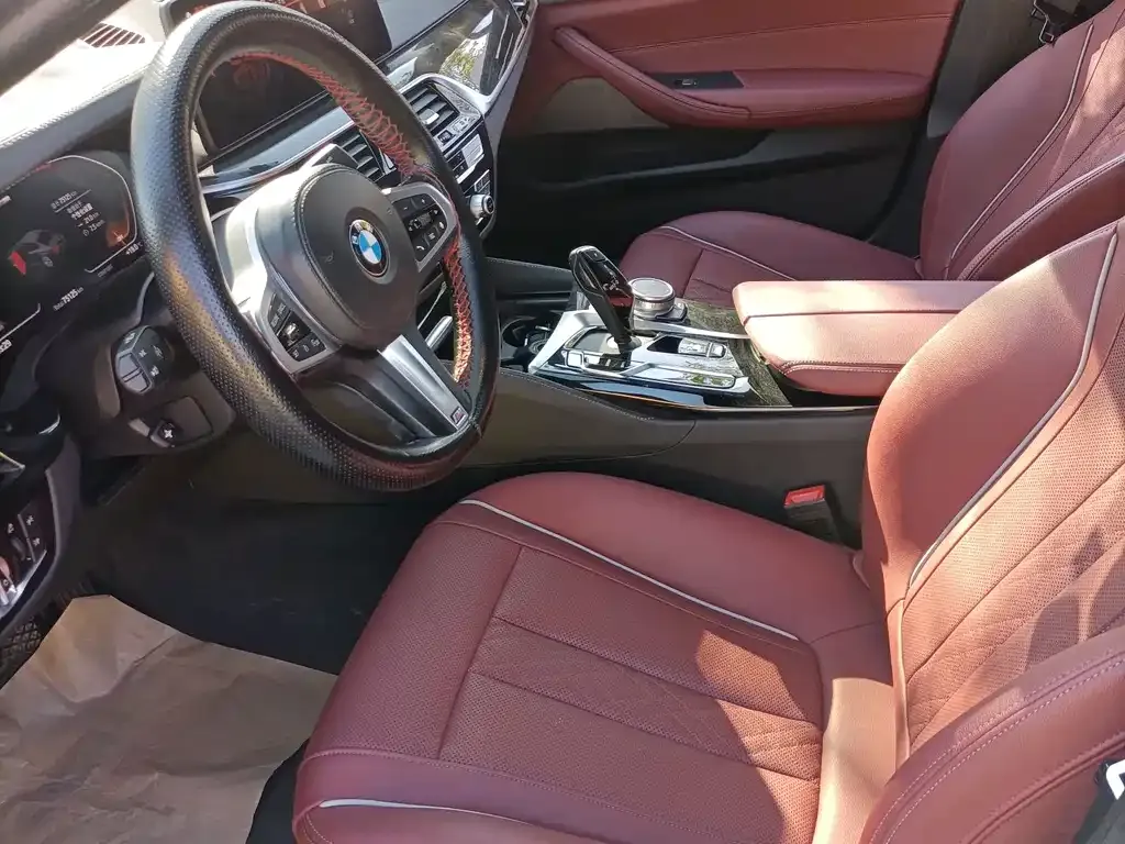 BMW 5 Series 2021 из CN, фото 8