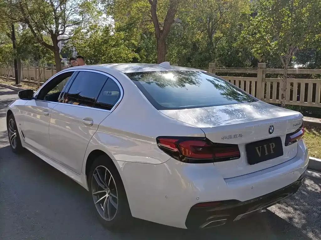 BMW 5 Series 2021 из CN, фото 9