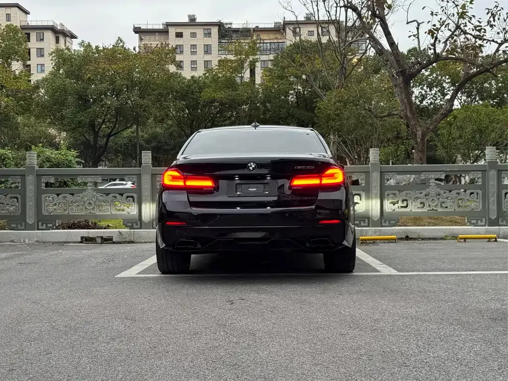 BMW 5 Series 2023 из CN, фото 5