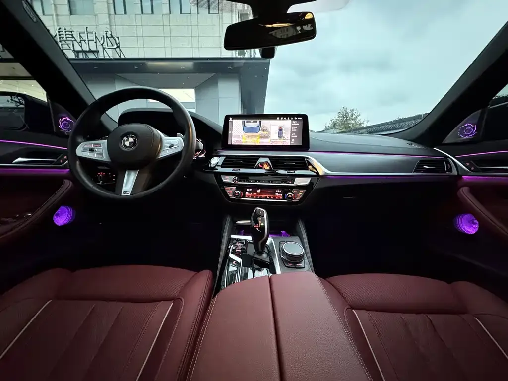 BMW 5 Series 2023 из CN, фото 9