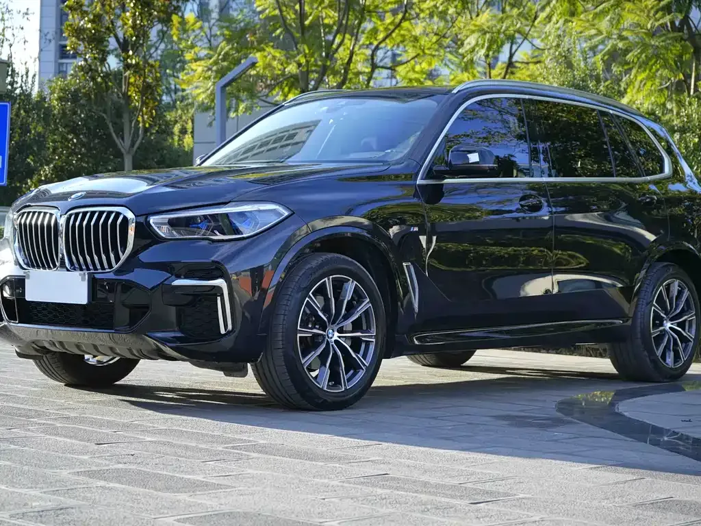 BMW X5 2023 из CN, фото 5