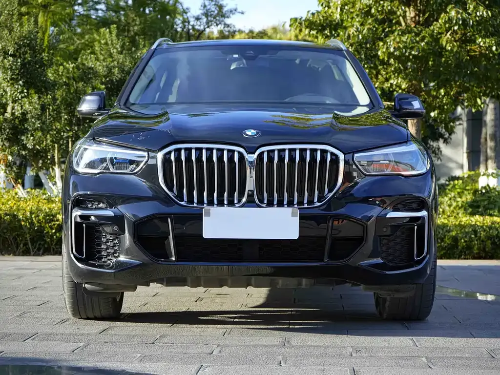 BMW X5 2023 из CN, фото 6
