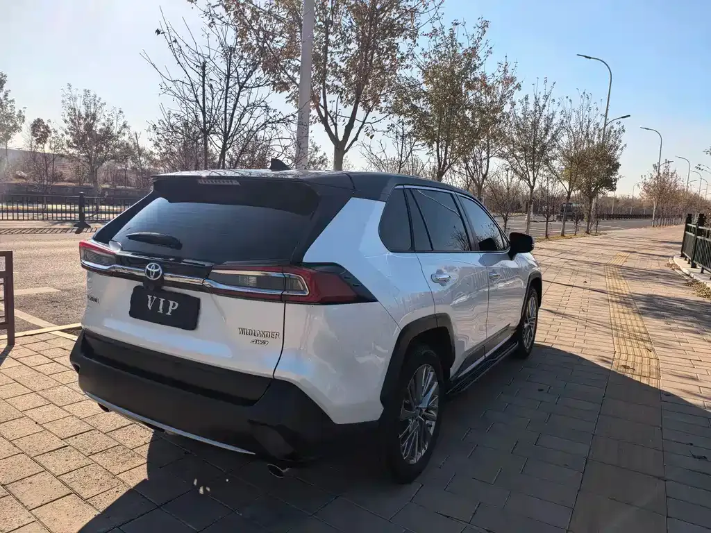 Toyota Wildlander 2022 из CN, фото 6