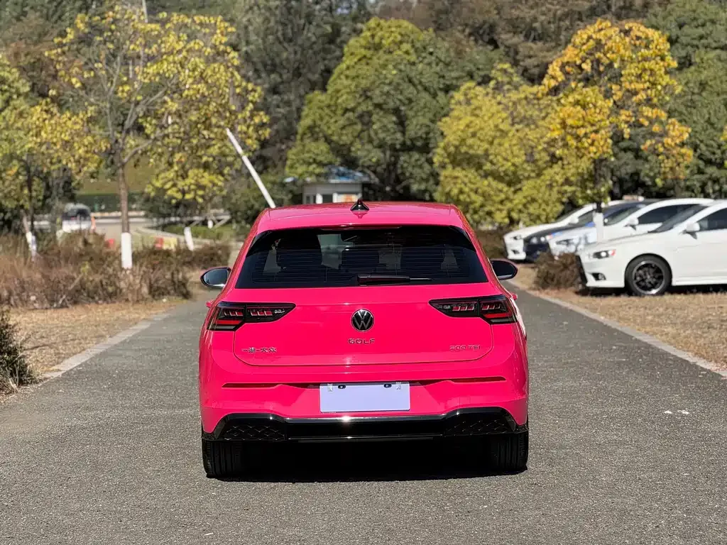 Volkswagen Golf 2024 из CN, фото 6
