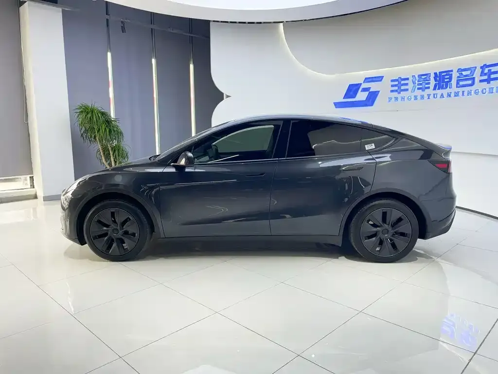 Tesla Model Y 2024 из CN, фото 4