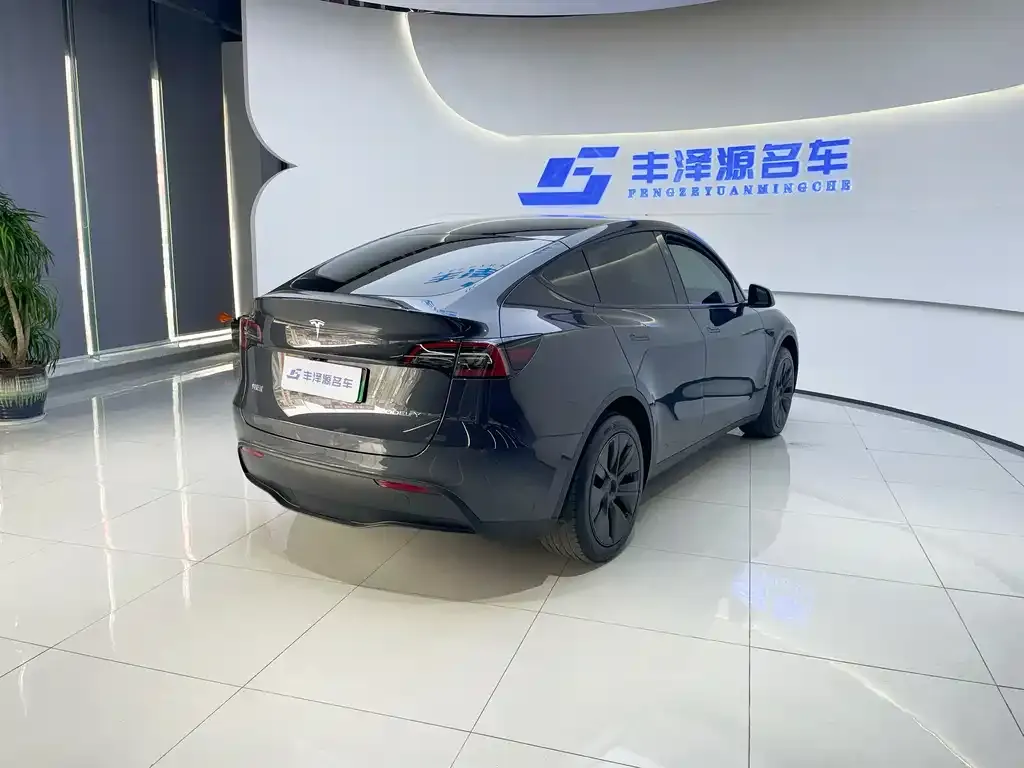 Tesla Model Y 2024 из CN, фото 5